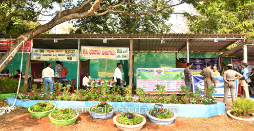 Flower Show